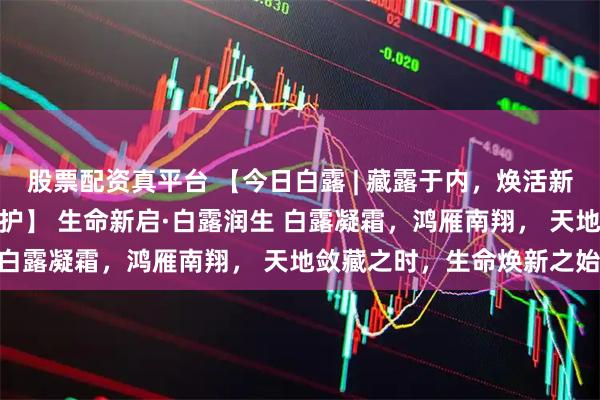 股票配资真平台 【今日白露 | 藏露于内，焕活新生 —— 干细胞的秋日守护】 生命新启·白露润生 白露凝霜，鸿雁南翔， 天地敛藏之时，生命焕新之始。