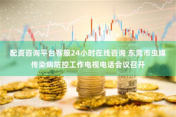 配资咨询平台客服24小时在线咨询 东莞市虫媒传染病防控工作电视电话会议召开