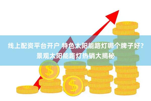 线上配资平台开户 特色太阳能路灯哪个牌子好？景观太阳能路灯热销大揭秘