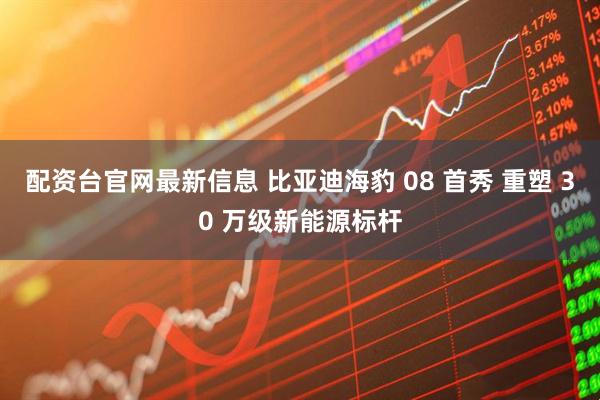配资台官网最新信息 比亚迪海豹 08 首秀 重塑 30 万级新能源标杆