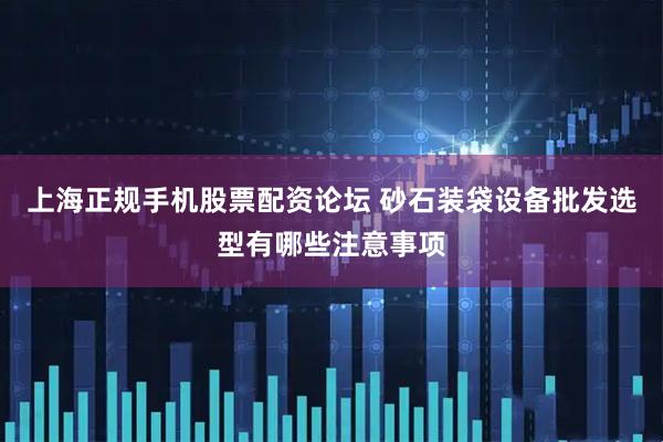 上海正规手机股票配资论坛 砂石装袋设备批发选型有哪些注意事项
